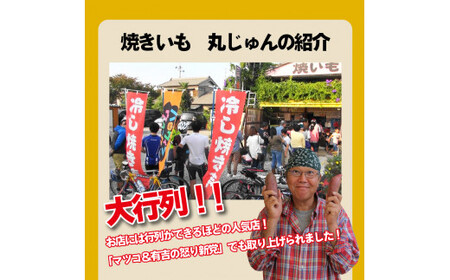 【ジャパンフードセレクション 金賞】 【全3回】 毎月お届け 冷やし焼き芋３種食べ比べセット 約1kg×3回 定期便  芋スイーツ H047-048