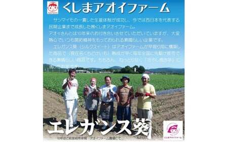 【ジャパンフードセレクション 金賞】（全6回）毎月1種類ずつ届く 冷やし焼き芋定期便 約1kg×6回（計3種） 芋スイーツ H047-051