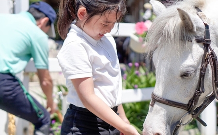 ポニー乗馬体験 明石乗馬協会 ごほうびセット えさやり体験 ポニー乗馬体験【チケット3枚】
