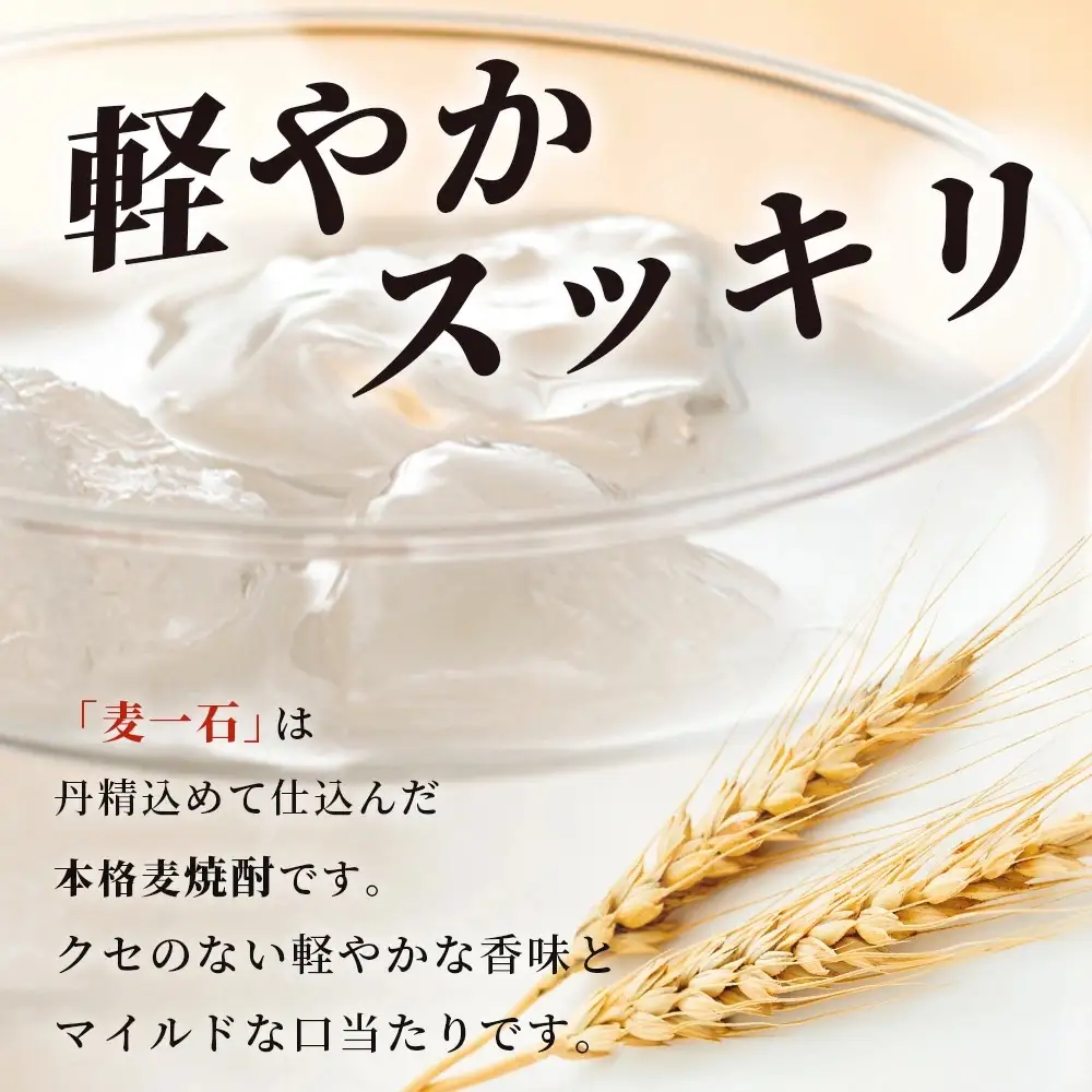 メガボトル4L×4本！ 純 麦焼酎【麦一石】4L エコペット 25度 計16L 焼酎 蔵元直送 16リットル パーティサイズ 麦 酒 麦麹 焼酎 大容量 熊本 球磨 焼酎 多良木町 040-0588