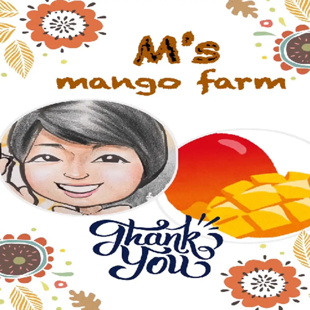 2026年発送【沖縄やんばる産】約2kg 良品アップルマンゴー（Ms mango farm） 南国 南国フルーツ 先行予約 期間限定 沖縄 甘味 糖度 フルーツ 果物 果実 プレゼント ギフト トロピカル 数量限定 予約 おすすめ くだもの 太陽 やんばる 自然