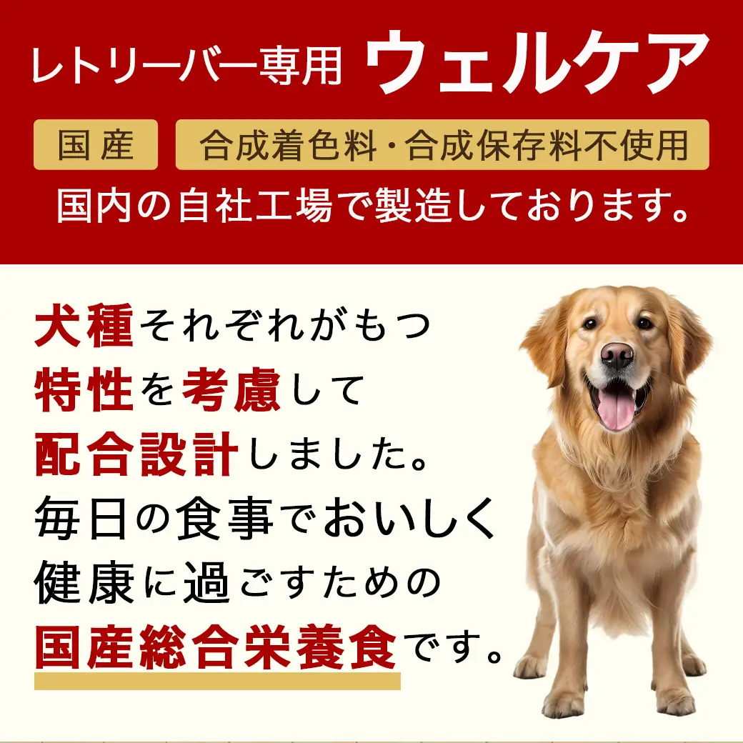 ドッグフード(レトリーバー専用)アダルト6kg〔LG-3315〕_(都城市) 国産総合栄養食 ドライフード レトリーバー専用 大粒タイプ アダルト用 健康維持 犬種別 犬用フード