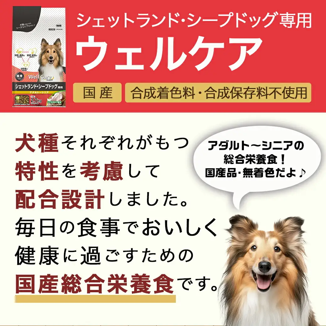 ドッグフード(シェットランド・シープドッグ専用)アダルト～シニア2.7kg〔LF-3312〕_(都城市) 国産総合栄養食 ドライフード 中粒タイプ 健康維持 犬種別 犬用フード シェットランド・シープドッグ専用