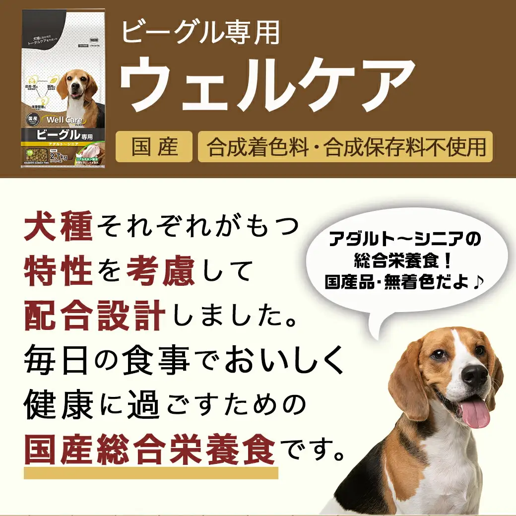 ドッグフード(ビーグル専用)アダルト～シニア2.7kg〔LF-3315〕_(都城市) 国産総合栄養食 ドライフード 中粒タイプ 健康維持 犬種別 犬用フード ビーグル専用