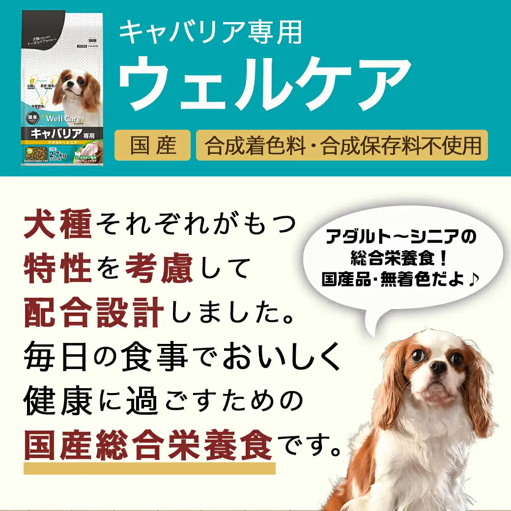 ドッグフード(キャバリア専用)アダルト～シニア2.7kg〔LF-3316〕_(都城市) 国産総合栄養食 ドライフード 中粒タイプ 健康維持 犬種別 犬用フード キャバリア専用