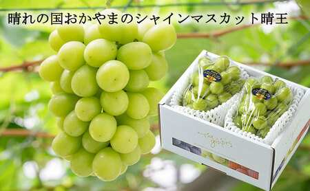 ぶどう 2026年 先行予約 ご家庭用 シャイン マスカット 晴王 約400g×2房 岡山県産 シャインマスカット