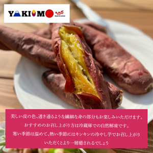 【2026年12月～受付再開】【日本最大級のサツマイモの祭典、さつまいも博2024 出店】はるの優しさ(冷凍やきいも) 約1kg｜冷凍 焼芋 焼き芋 やきいも さつまいも さつま芋 熟成 茨城県 行方市 ふるさと納税(GC-2)