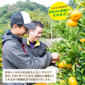【先行予約】＜11月発送＞農園直送!完熟有田みかん【サイズ混合】3kg＋200g  ※北海道・沖縄・離島への配送不可【ard002C-11】