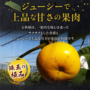 えのしまファーム【贈答用】太秋柿 約２ｋｇ(5～６玉)  _U85-0002