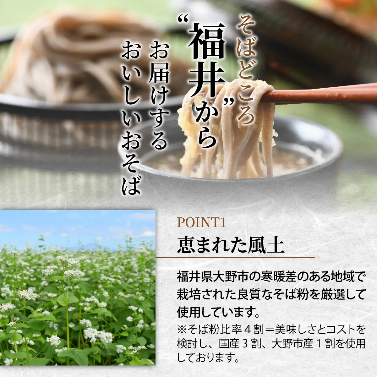 ヤマサ製麺 越前そば 12食 （3食袋×4） [A-120004] 