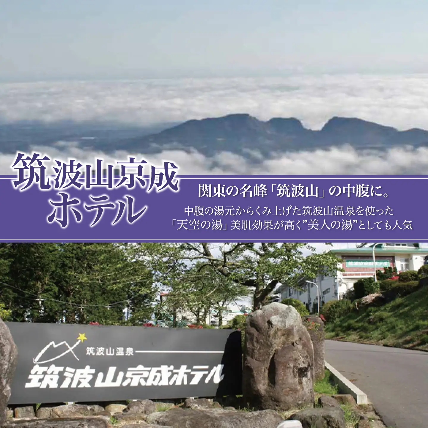 宿泊券 筑波山京成ホテルペア平日 宿泊券 1泊朝食付き