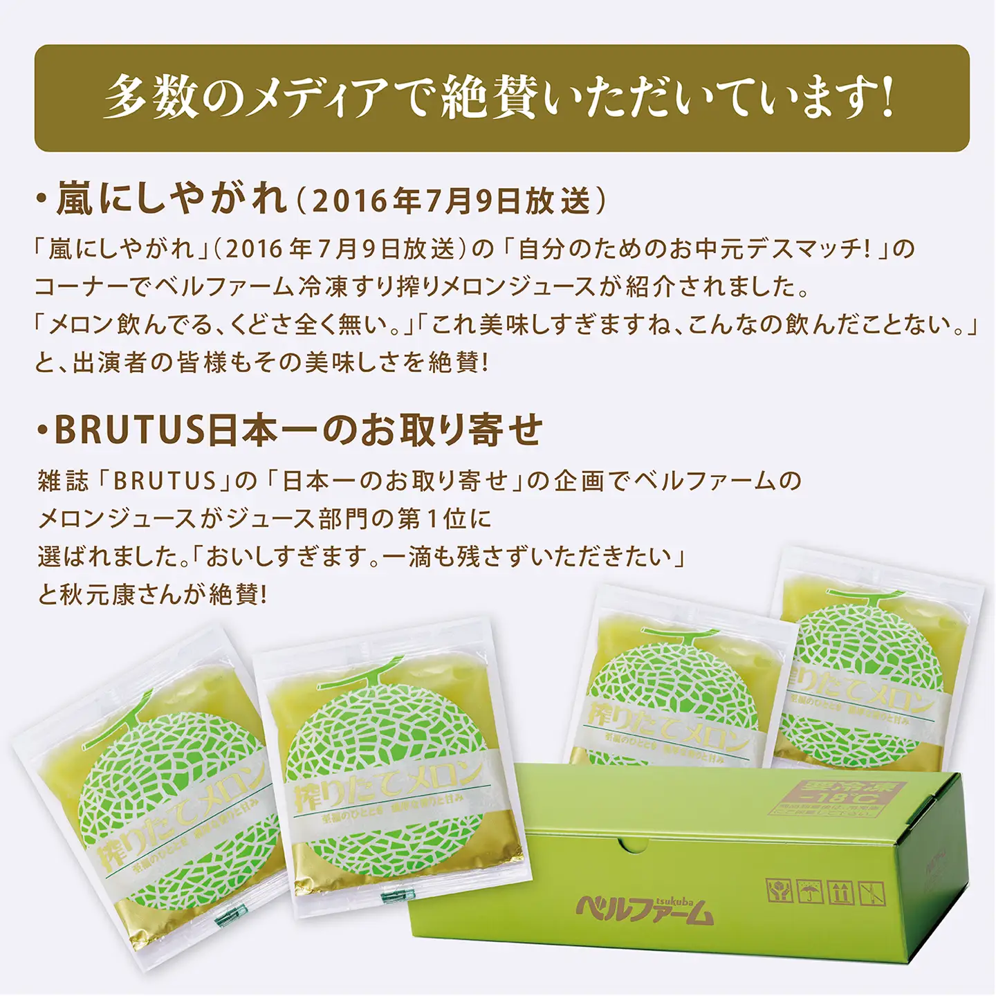 搾りたて メロン100%ジュース 100g×15P メロン