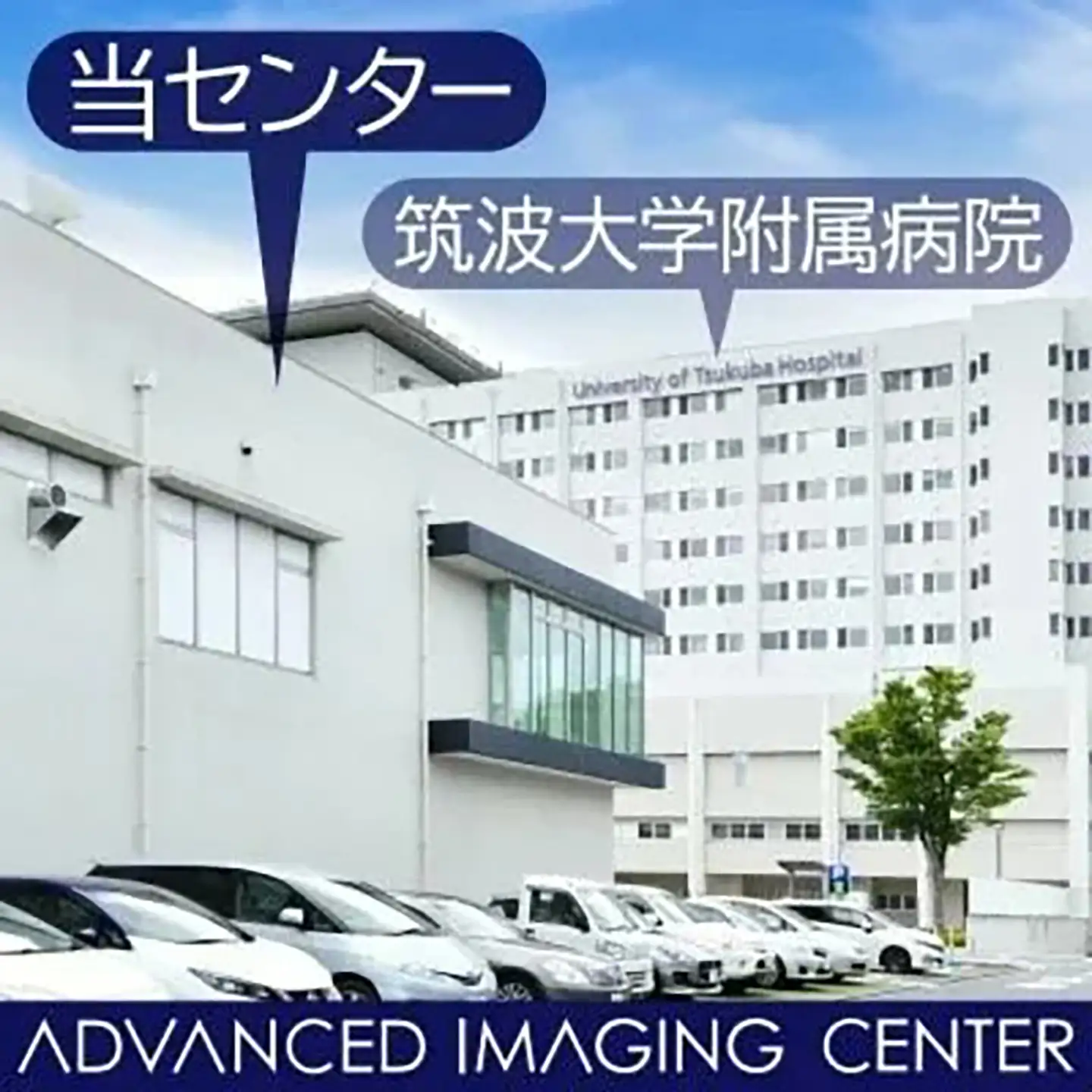 膵臓ドック(膵臓がんドック)1名様分(膵臓MRCP付)