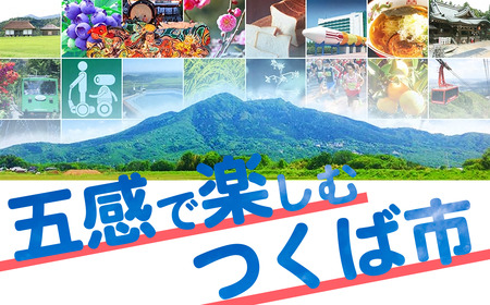 常陸牛 薄切り落し肉 500g 常陸牛A4・A5【茨城県共通返礼品】