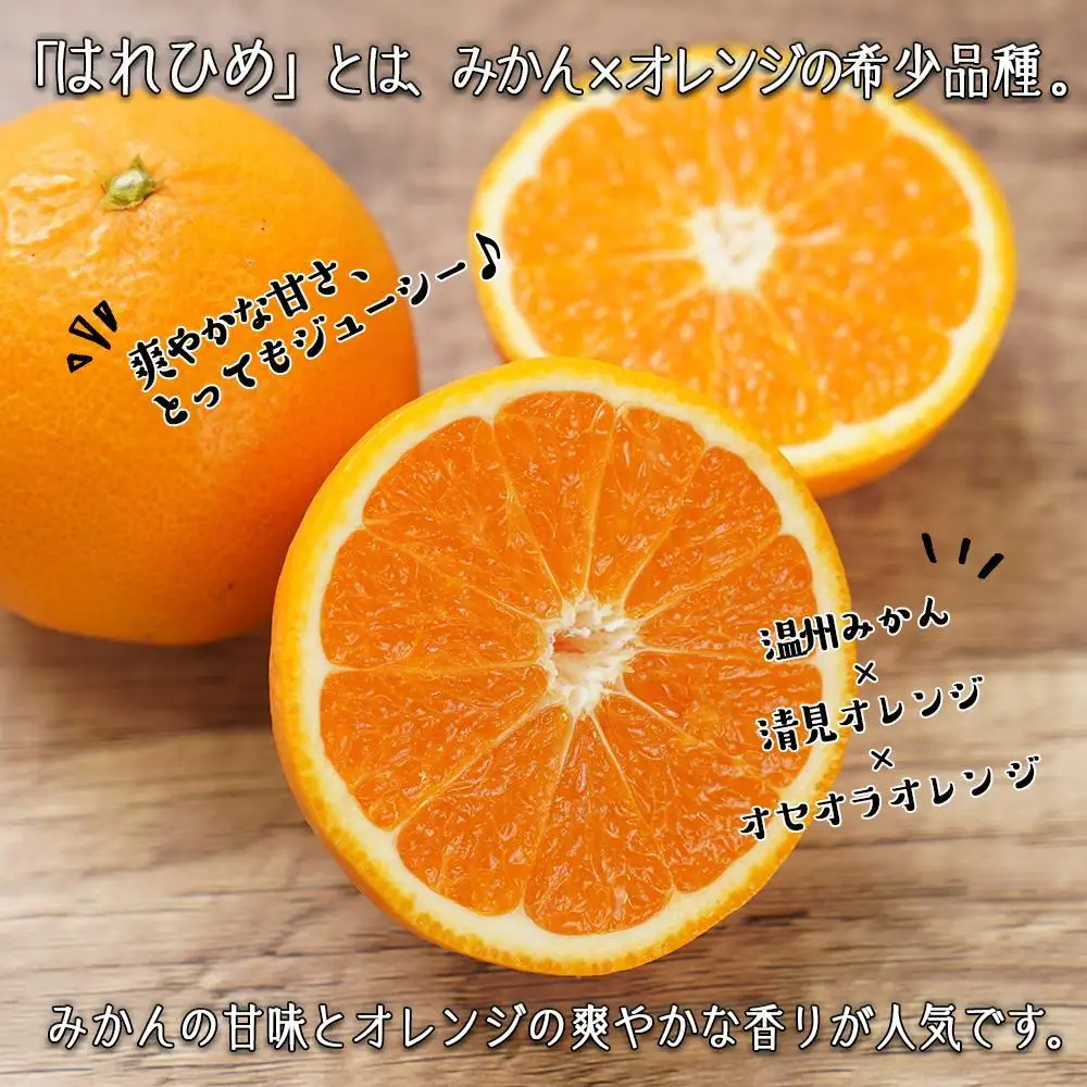はれひめ（ミカンの希少種） 秀品  約5ｋｇ（25個～30個入）［先行予約］［2026年12月中旬頃から発送］［KG3］
