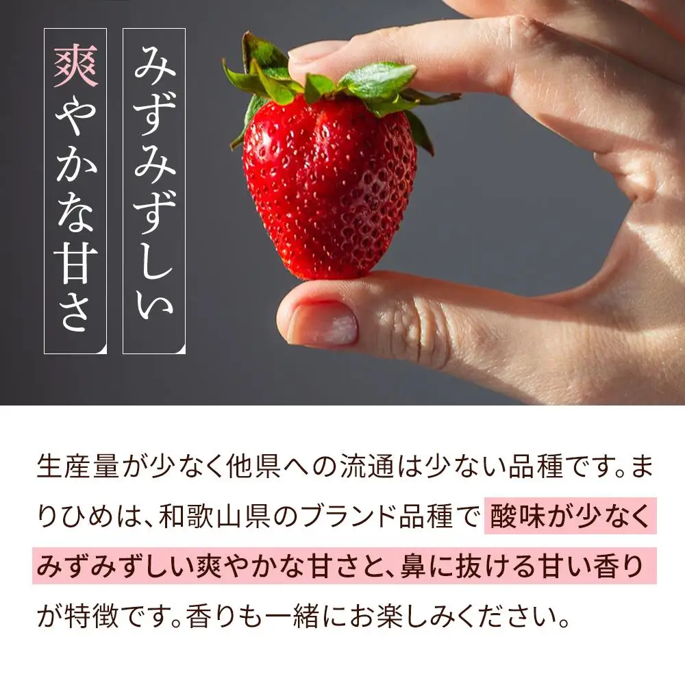 まりひめイチゴ L～2L 12粒～15粒×2パック［2027年1月中旬から発送］［先行販売］［KG7］