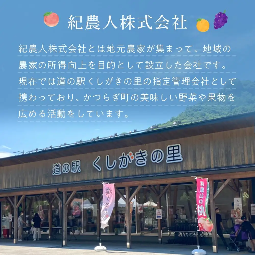 桃 極上秀品 食べきりやすい３個入 ［先行予約］［2027年6月下旬頃より順次発送］こだわり農家厳選！［KG1］桃