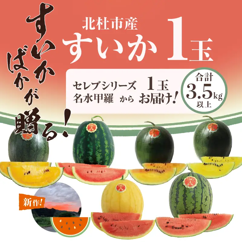 【2026年先行予約】北杜市白州産すいか「すいかばか！」のこだわりの特選すいか セレブシリーズと名水甲羅の中から1玉 [h047]
