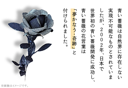ＤＥＮＩＭ　ＲＯＳＥ - IBARA/藍バラ - プラチナシルバー