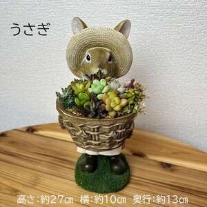 多肉植物の寄せ植え（うさぎ） ※北海道・沖縄・離島への配送不可 _FC08
