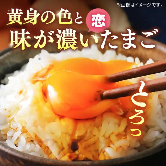 【特選卵】素直な恋たまご 30個 [JAP016] たまご