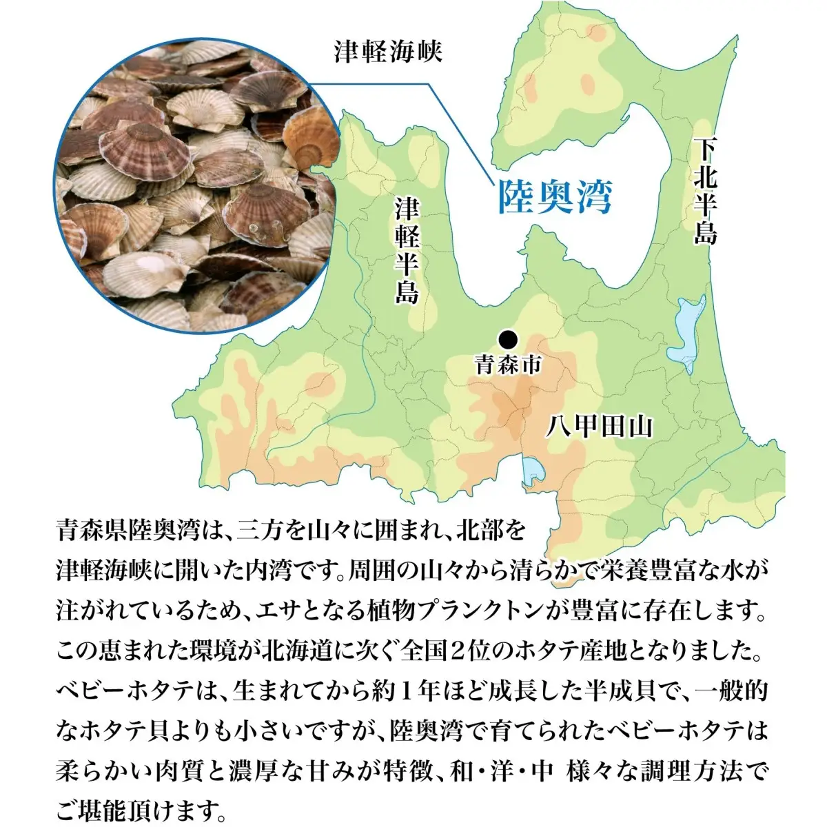 【道水 DOHSUI】ボイルベビーホタテ(生食用)750g×2袋 北海道 産地直送 HOKD006