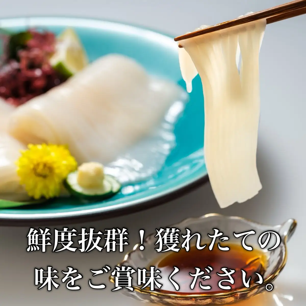 【道水 DOHSUI】 訳あり いかお造り ジャングル 500g×2パック いか刺身 いかそうめん HOKD016
