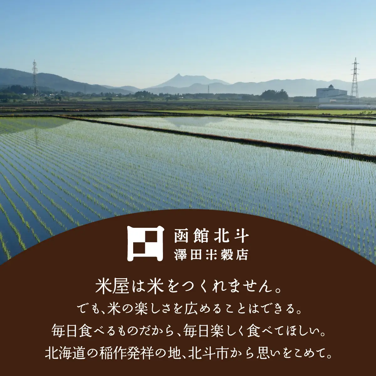 【寄附額見直しました！】【数量限定】【令和7年産】【玄米】北斗市産特別栽培米ゆめぴりか・ななつぼし 各5kg(合計10kg)セット HOKH001
