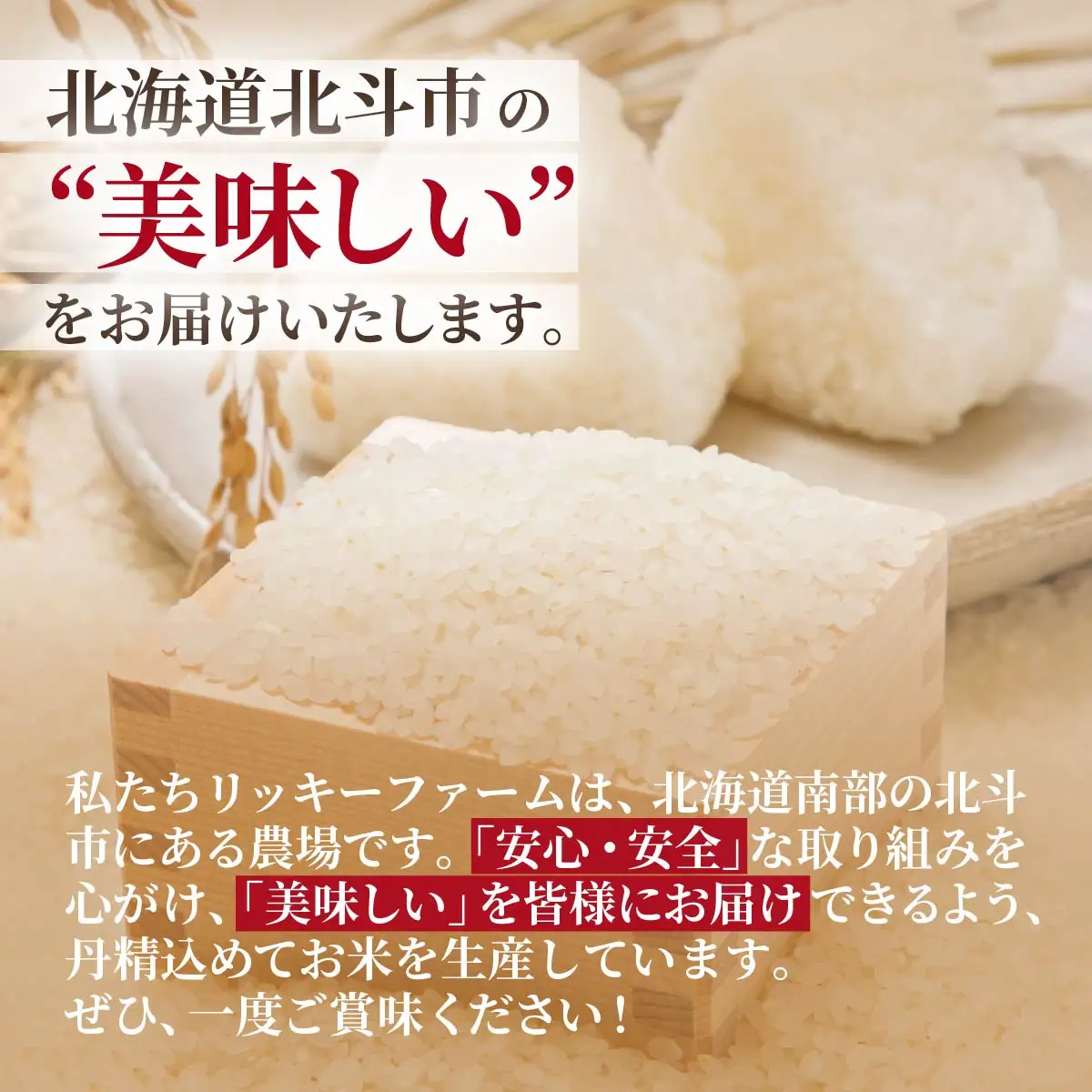 【令和7年産】北海道産 ゆめぴりか5kg HOKK003 