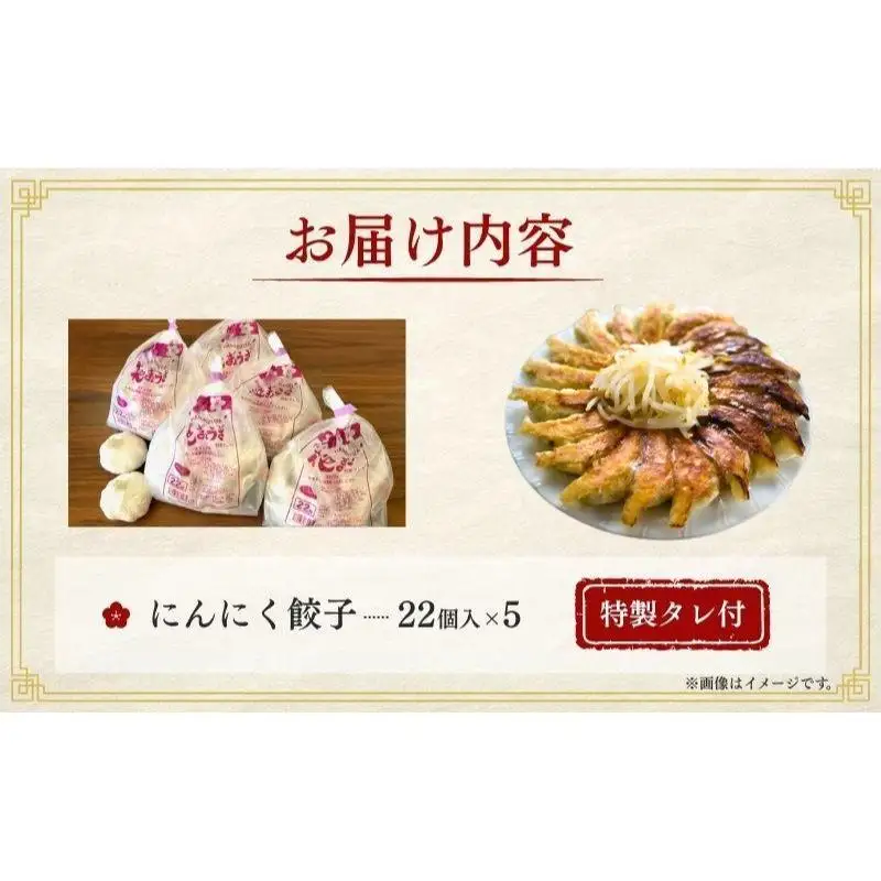 餃子 にんにく餃子 110個 22個×5袋 冷凍 餃子