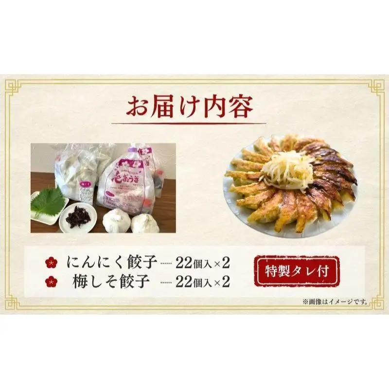 餃子 にんにく餃子 梅しそ餃子 各2袋 冷凍 餃子