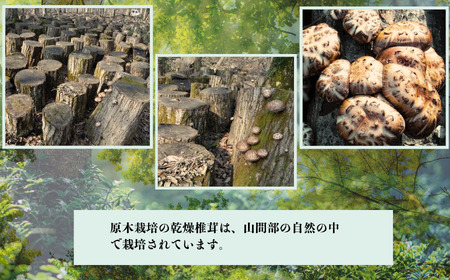 原木栽培の乾燥椎茸５種の詰め合わせ（どんこ 小粒どんこ こうしん スライス 得用）【新潟県 糸魚川 しいたけ シイタケ 香信】