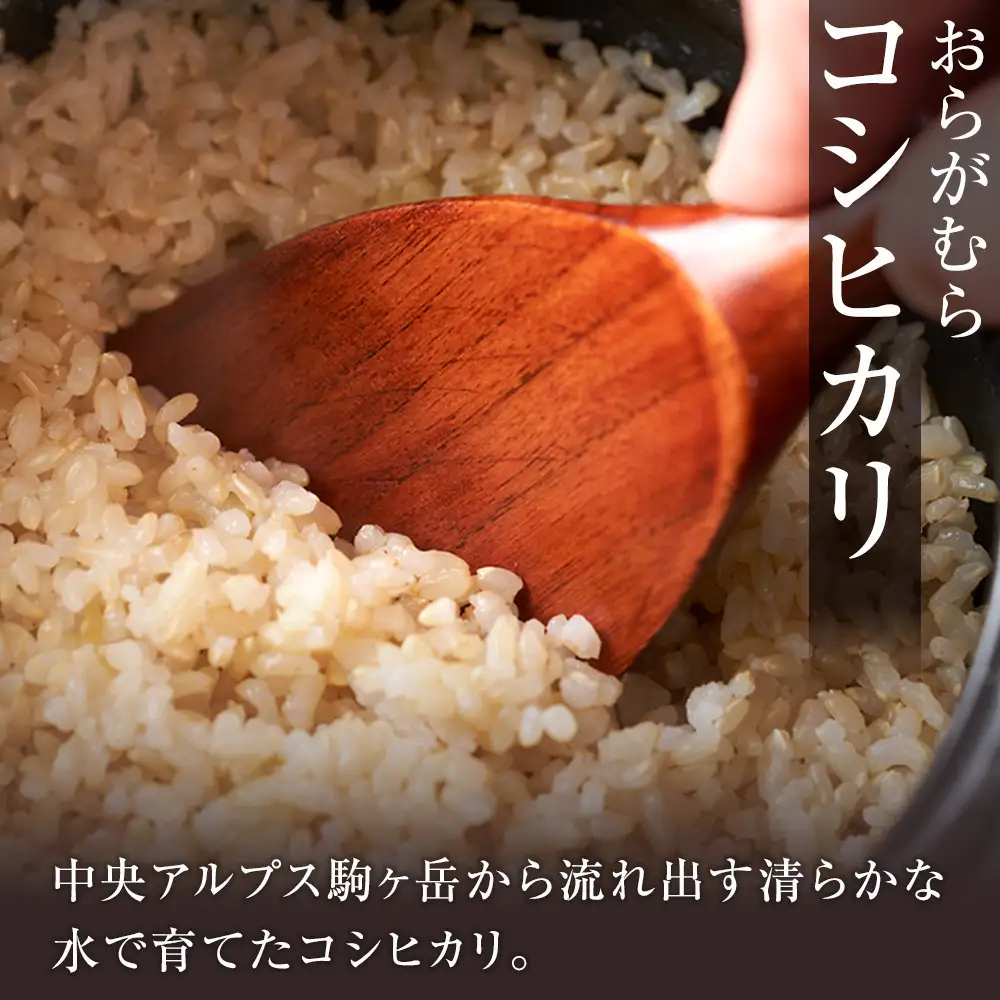 【予約受付】【令和８年米】長野県宮田村産コシヒカリ／玄米／30kg・54,000円／令和９年2月配送