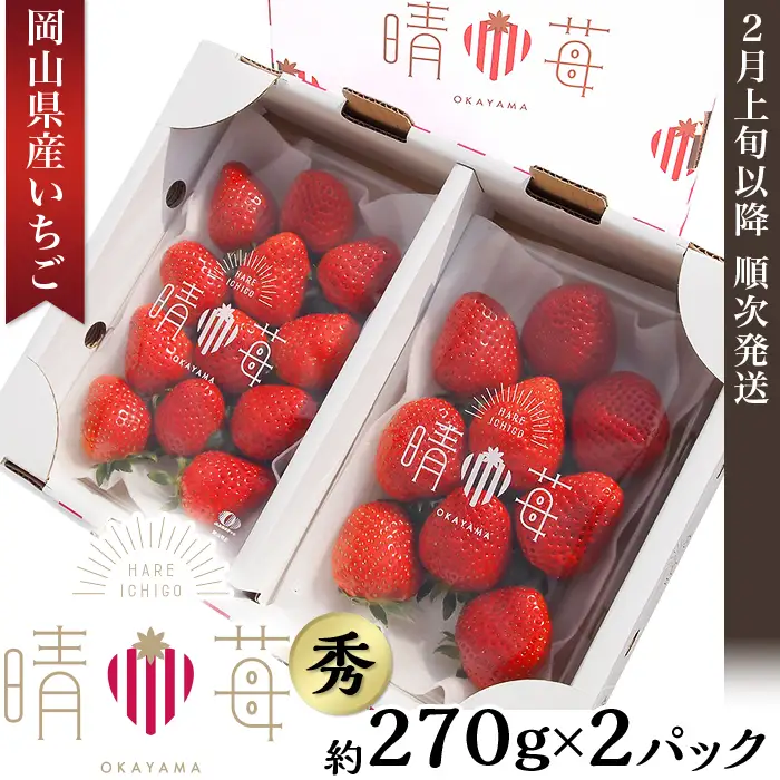岡山県産いちご「晴苺」秀【2027年2月上旬以降順次発送】
