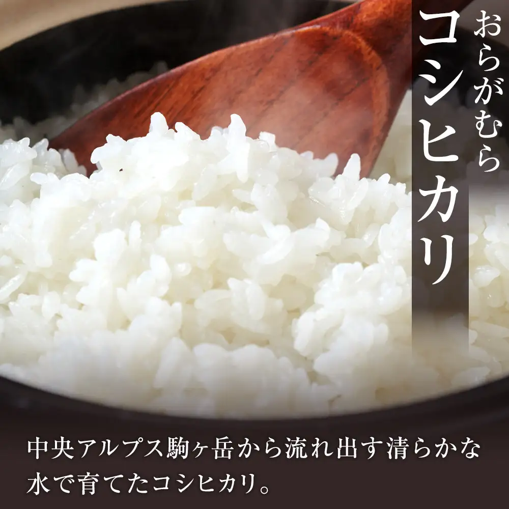 【予約受付】【令和８年米】長野県宮田村産コシヒカリ／精米／30kg・60,000円／令和９年1月配送