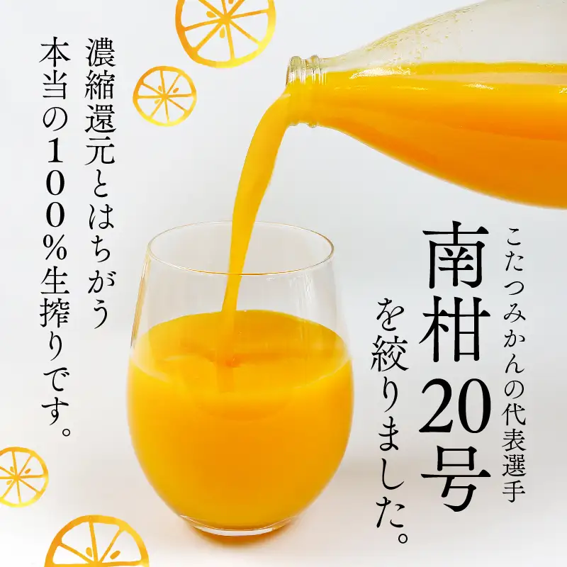 みかんジュース 本物の100％みかんジュース 1,000ml × 6本 木田柑橘農園 H025-185002