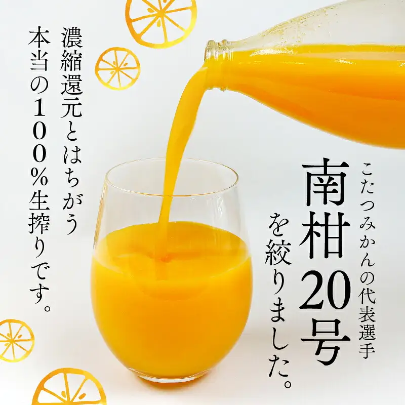 みかんジュース 本物の100％みかんジュース 1,000ml × 12本 木田柑橘農園 H048-185003