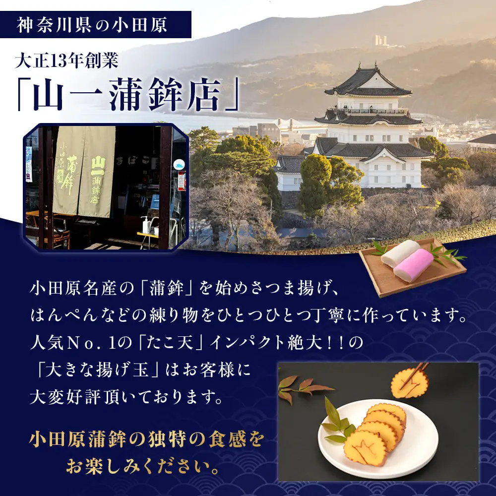 《小田原市 山一蒲鉾店》小田原名産 蒲鉾(白)1本 焼き蒲鉾1本 贈答品 自宅用 【 神奈川県 小田原市 かまぼこ かまぼこ】