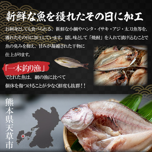 S123-002_天草の旬　一夜干し