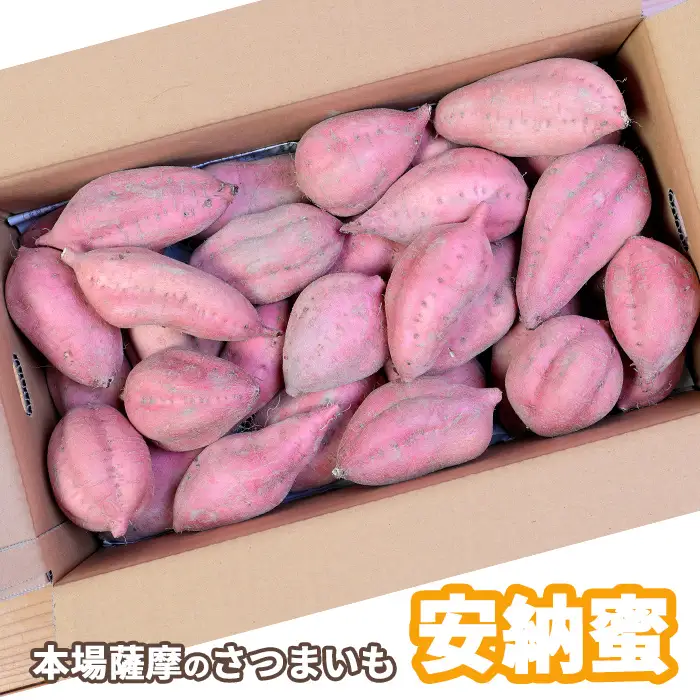 本場鹿児島さつまいも 【安納蜜】4kg　2026年10月上旬より発送Z0-15_野菜 さつまいも いも サツマイモ 薩摩芋_【配送不可地域：離島】【1487872】