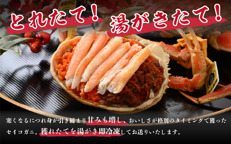 先行予約【冷凍】 冬の味覚 旬！セイコガニ 3杯 計300g前後 食べ方カラー説明書付き【2026年11月中旬以降順次発送予定】 [m21-a042]