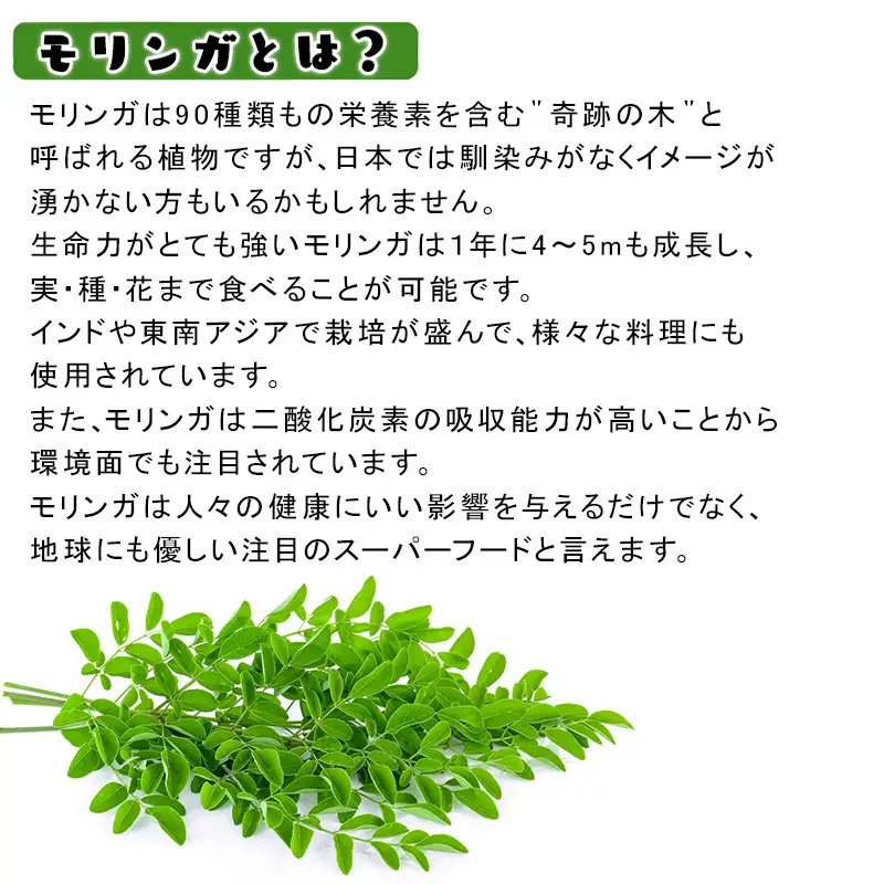 モリンガ (粉末50g・錠剤160粒・茶(1g×30袋))