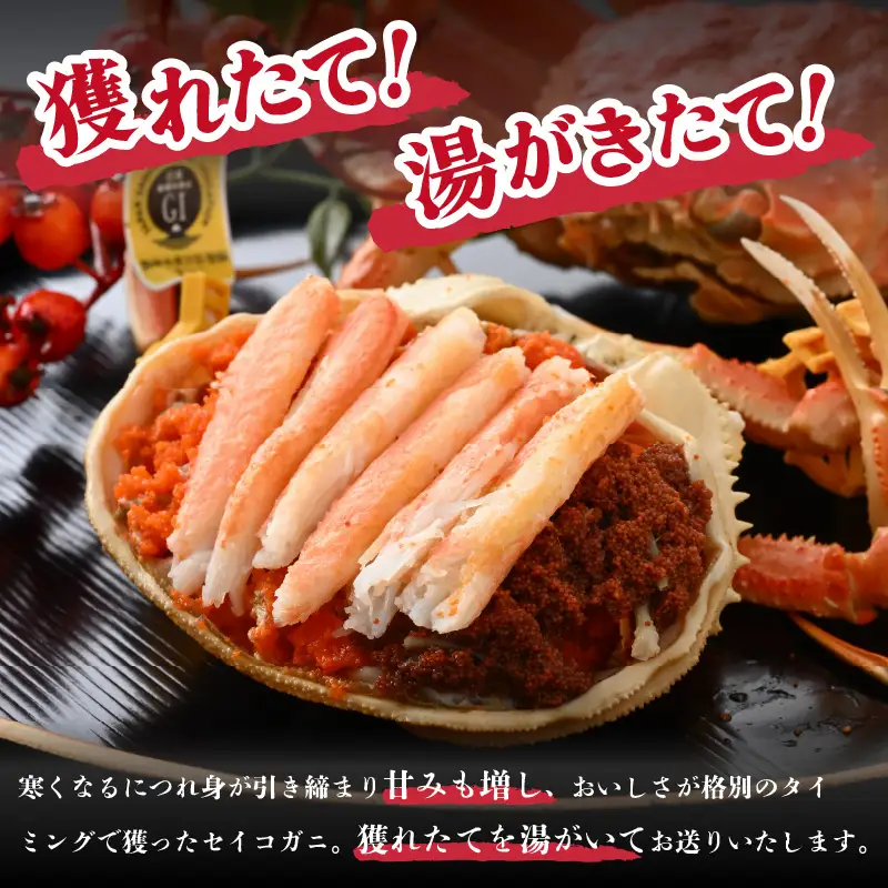 先行予約【冷凍】冬の味覚 冷凍セイコガニ 大サイズ × 6匹 計1.1kg以上 食べ方カラー説明書付き 【2026年11月中旬以降順次発送予定】 ズワイガニメス せいこがに [m21-h003]