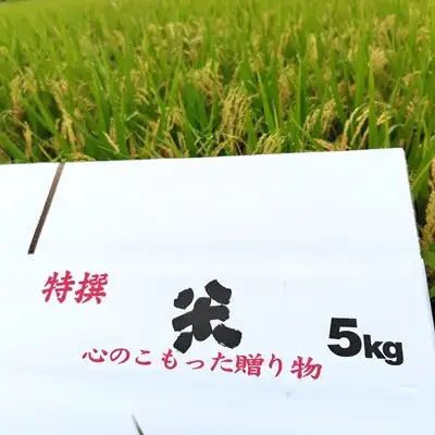 令和8年産 自然栽培16年目のササニシキ 玄米 分づき米 5kg 0098-2602