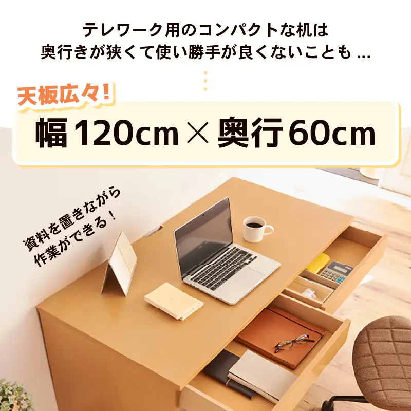 PHSDシンプルデスク幅120cm 日本製（ダークブラウン）｜日本製 国産 家具 木製 机 仕切り 入学祝 出産祝 プレゼント 贈り物 勉強 学習 子供部屋 リビング 書斎 子ども シンプル デザイン 新生活 引っ越し [aw053-d003_02]