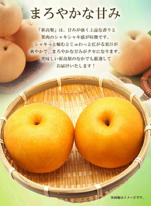 新高梨 5～6玉 計 約2.5kg 環山堂株式会社