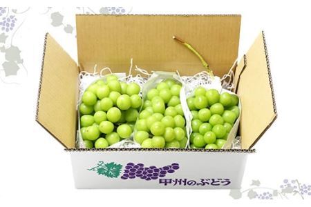 【2026年発送分 先行予約】シャインマスカット（1.6-1.8kg）　シャイン マスカット シャインマスカット ぶどう 葡萄 ブドウ 果物 くだもの フルーツ 大粒 産地直送 先行予約 先行受付 山梨 やまなし有機肥料 山梨県産 富士川町