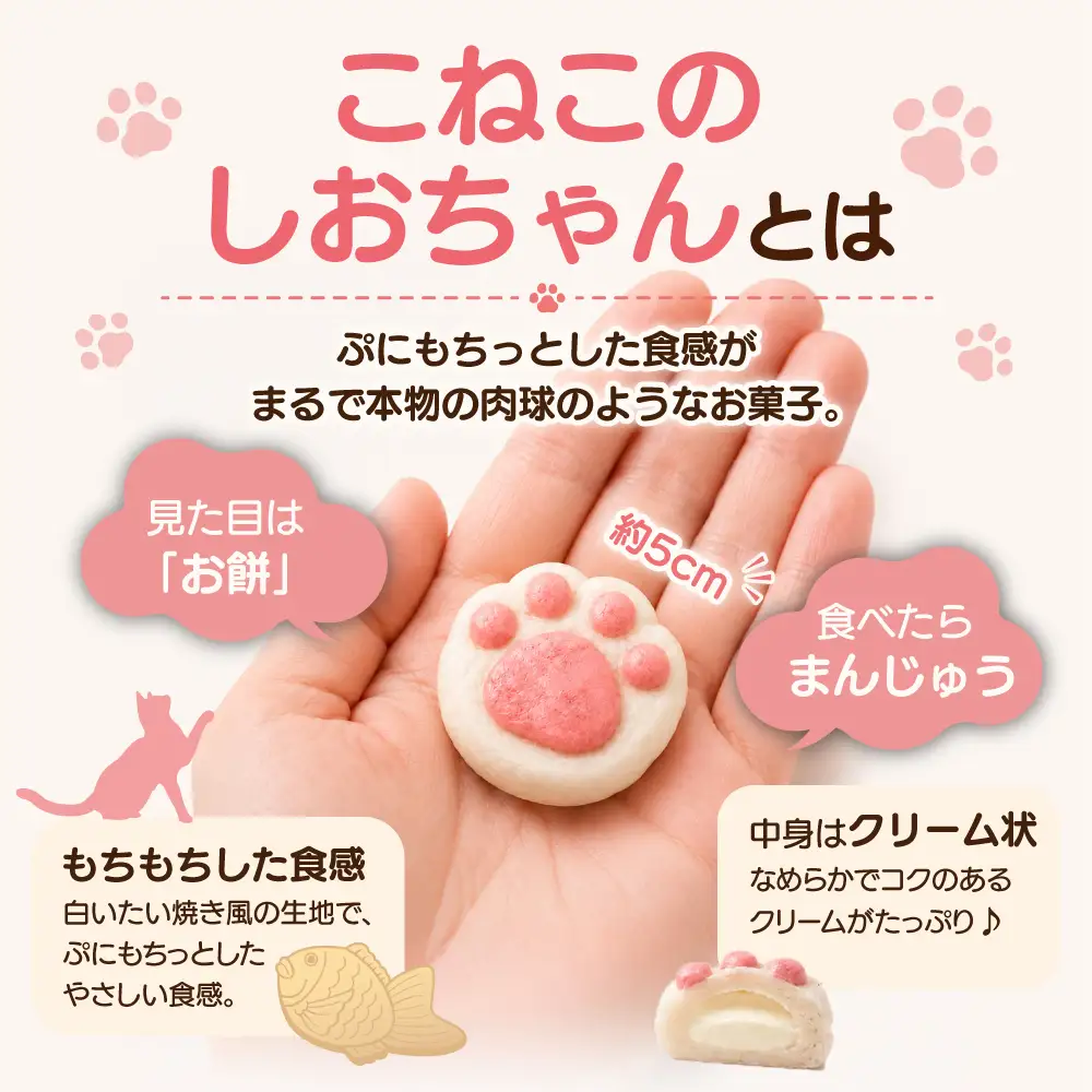 こねこのしおちゃん　10個入　【04203-0774】