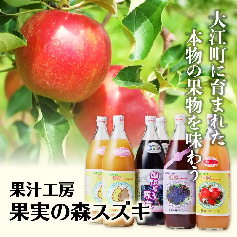 大江の恵6本ギフト山ブドウ原液・ラ・フランス・ぶどう・紅玉各1000ml） 003-023