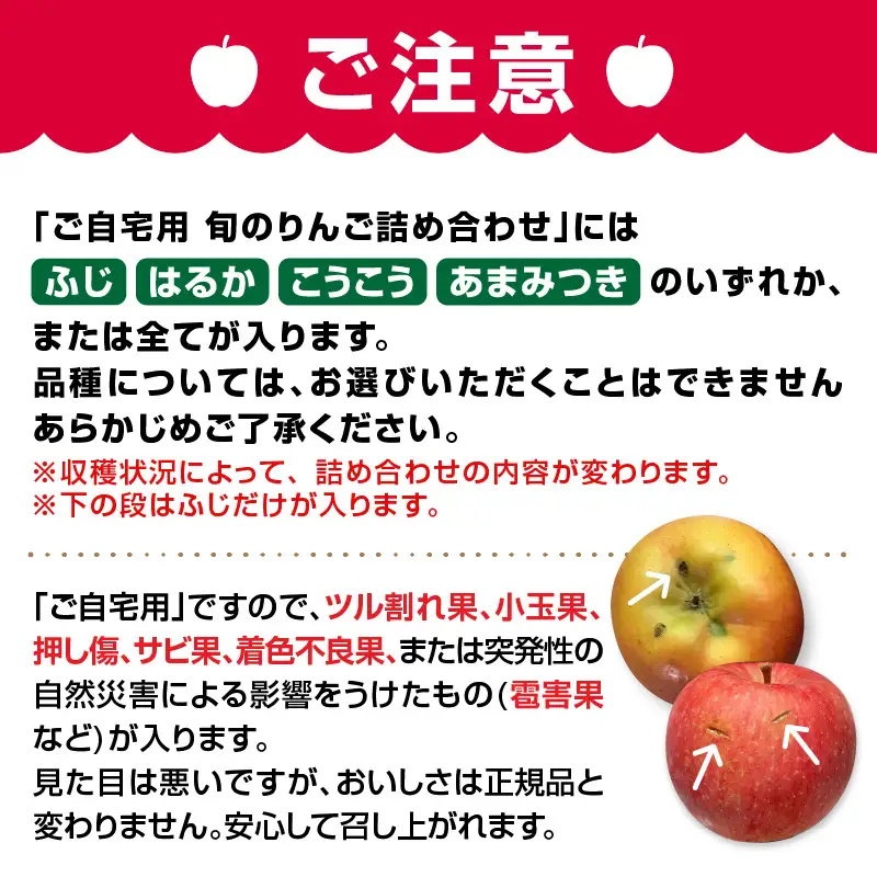 《先行受付》訳あり 旬のりんご詰合せ約10kg（サンふじ確約3種以上）【2026年12月上旬頃～発送予定】【大江町産・山形りんご・りんご専科 清野】 015-053
